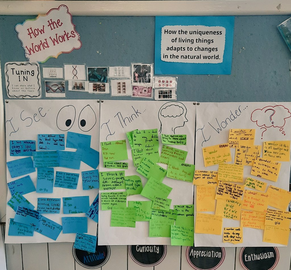 Debisa64592273's tweet photo. Unit 6 provocation tuning into #HTWW, students looked at various pictures and completed the I See, I Think, I Wonder chart. Amazing discussions and questions arose. #LearningatWIS https://t.co/G3PVyrS6EP