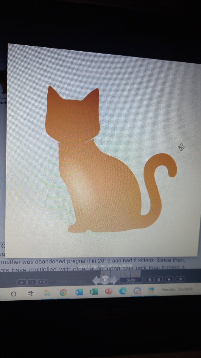 Behind the scenes of our work. 
#nft #NFTProjects #NFTLaunch #NFTlover #nftcat #CryptoNews