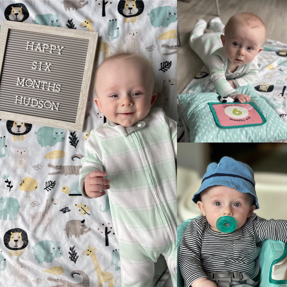 Happy half-birthday to Huds! How is this little man six months old already?!