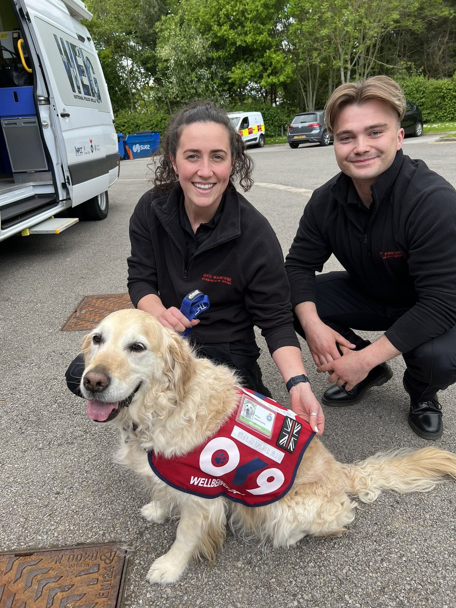 WD_Whispa's tweet photo. After a busy day meeting new friends in York and @fire_huntington nothing beats a nice run about and play in the garden @OscarKiloNine @ServiceDogsUKPS https://t.co/MHjTvGmpi7