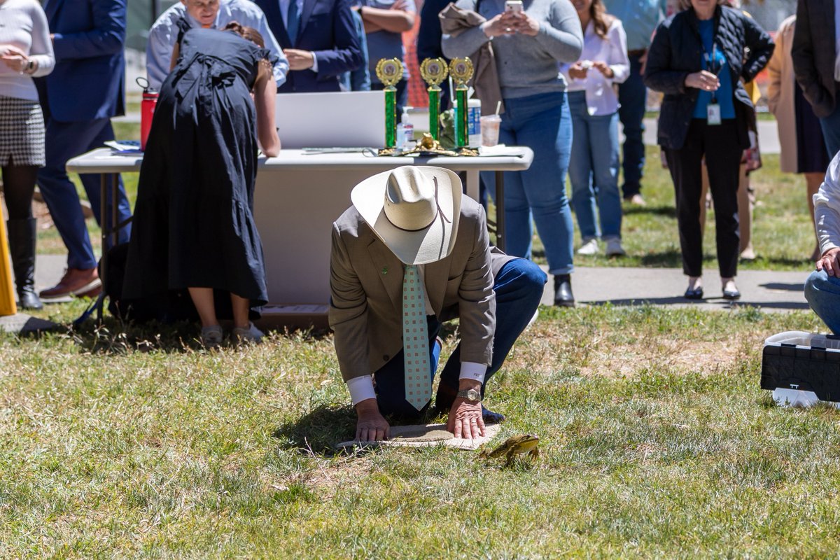 FrankBigelowCA's tweet photo. The 46th Annual #CapitolFrogJump was a huge success! I was happy to honor my #WomanOfTheYear Laurie Giannini at the event. Many thanks to her & @frogtownorg for bringing a little #CalaverasCounty to Sacramento. Go check out the #JumpingFrogJubilee starting May 19th! @GoCalaveras https://t.co/l4MtioH1hh
