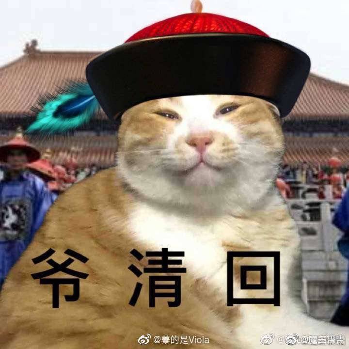 a_giraffes's tweet photo. @wuyuesanren https://t.co/Xuc3vaY4Jn
