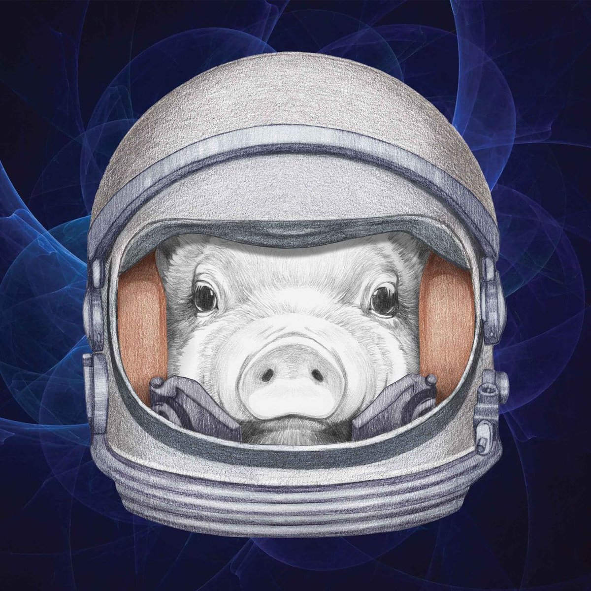 DRIPcommunity's tweet photo. https://t.co/HDYzfOdUub

We unpause in 15 minutes‼️

As soon as we unpause it's live 🐷🚀

Join tg https://t.co/MNtdm3jrhL

0x9a3321E1aCD3B9F6debEE5e042dD2411A1742002 - PIGS Token (AFP)

https://t.co/Swj2A432vu - New UI 

#cryptotwitter #BSC #BUSD #Pancakeswap #CryptoNews #DeFi https://t.co/nYbLIf8Tf5