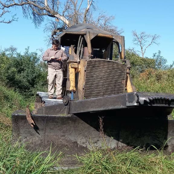 Dirección de Bosques tweet media