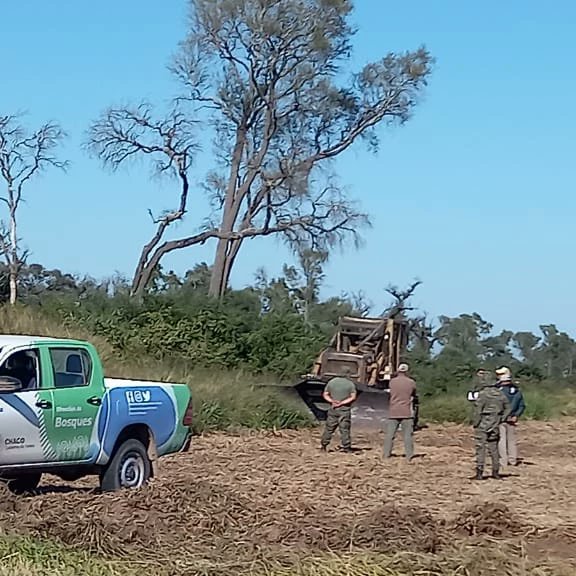 Dirección de Bosques tweet media