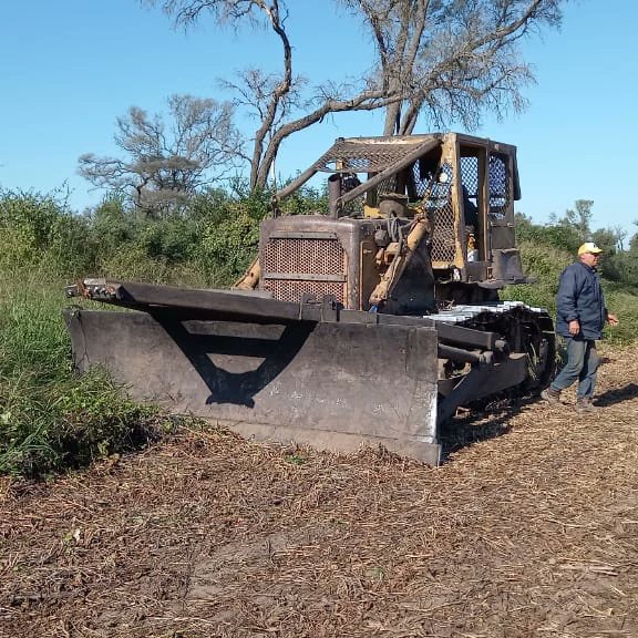 Dirección de Bosques tweet media