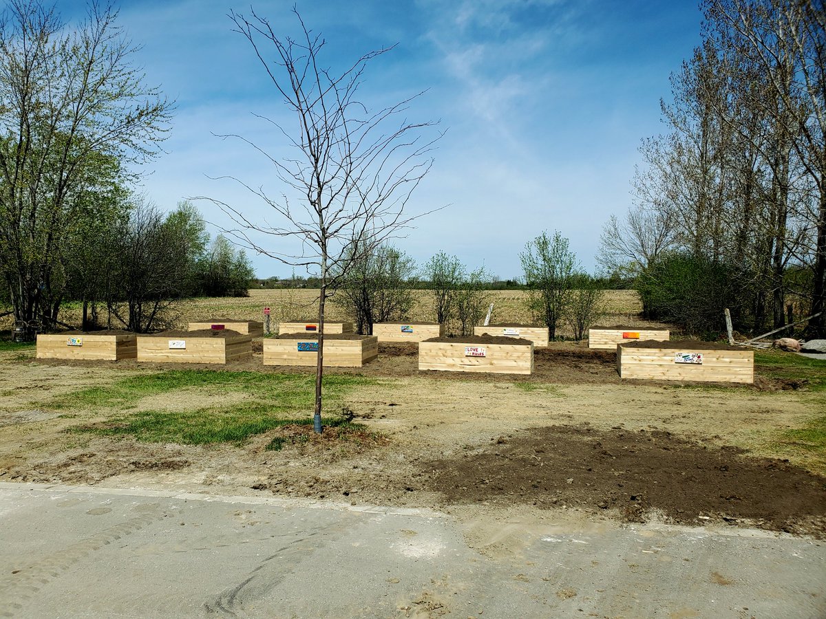 DRNPHC's tweet photo. What a beautiful accessible garden that was built in just 2 days. Thank you to all the Cannginton community that helped out. #foodsecurity #communitygarden #communityhousing #townshipofbrock #durham #newhorizonsforseniors https://t.co/A9WVvJdwGN