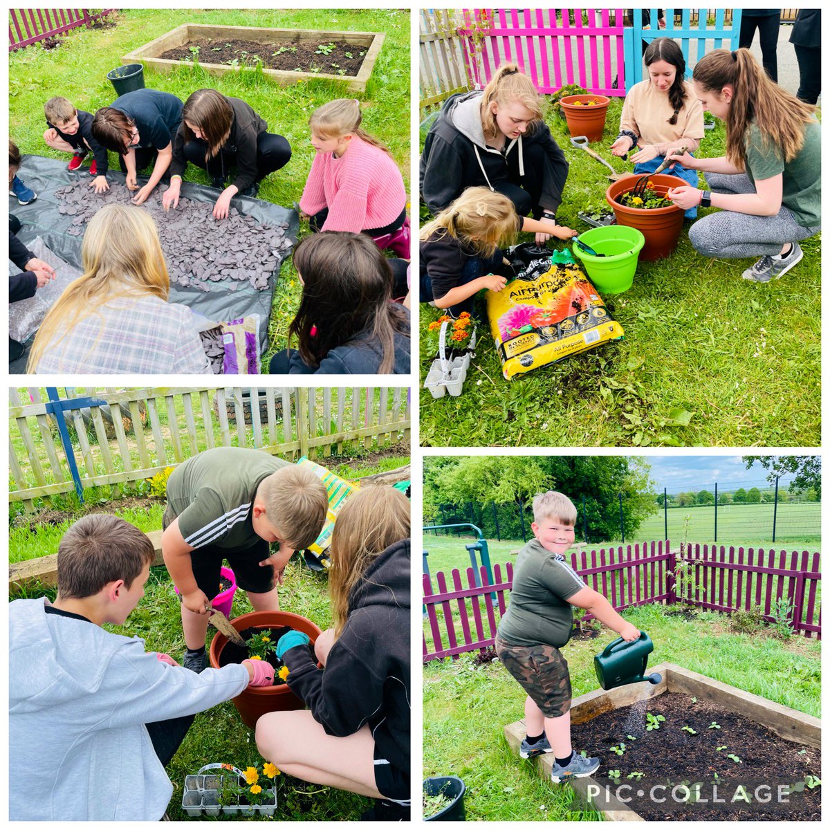 Creating a seating area and potting plants at our #superbloomschools club today! 🌸 @KbaPrimary <a href="/TowerOfLondon/">The Tower of London</a> @DinoDiSalvo @MrsFoleyKBA <a href="/KBuccleuchA/">KBA</a> @KbaPrimary <a href="/HRP_palaces/">Historic Royal Palaces</a> <a href="/UnitedLearning/">United Learning</a> #superbloom #towersuperbloom #PlatinumJubilee