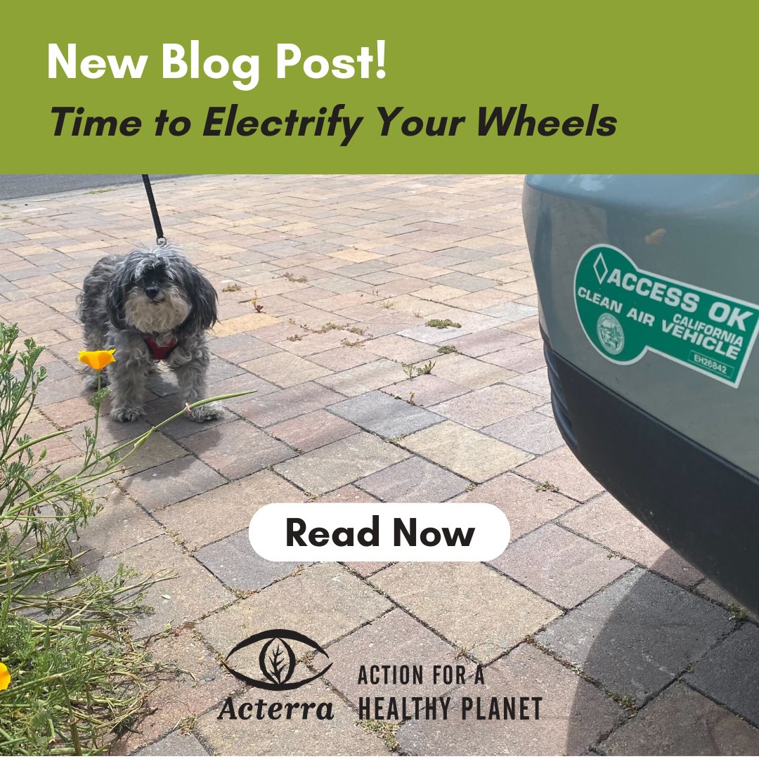 planetacterra's tweet photo. 2022: the #YearoftheEV! Check out the latest #ElectricVehicle blog post from community-member Hilary Glann. Featuring EV facts, testimonials from Palo Alto neighbors, and links to EV #resources! Read it now: https://t.co/tnXL7WiEZ9 ⚡ https://t.co/QGre4KBvQh