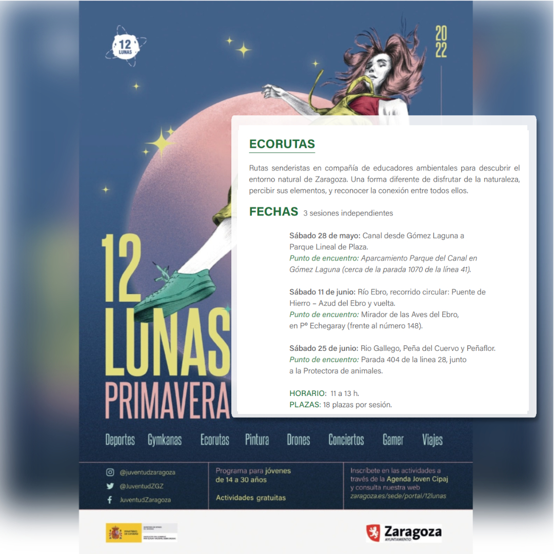 👉Apunta en tu agenda: el 16 de mayo se abren inscripciones para las actividades de junio en el #12LunasPrimavera2022 !!! 🌕🌖🌗🌘  

Aquí tenéis alguna de las muchas actividades a las que os podéis apuntar de forma gratuita. Tienes todas en:
👉zaragoza.es/sede/portal/12…