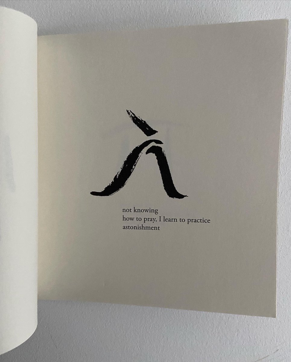 Mandy Jane tweet media