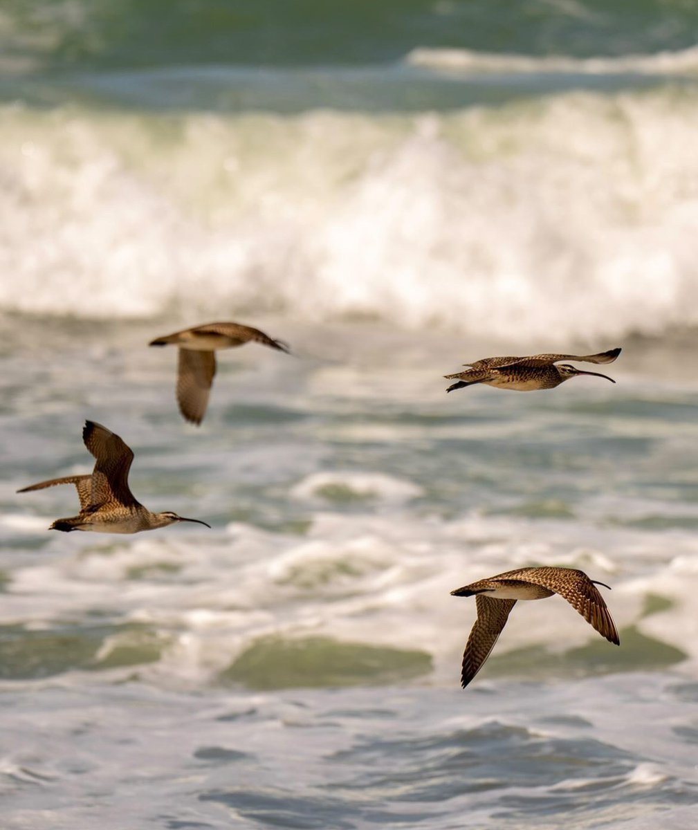 Visit Cambria tweet media