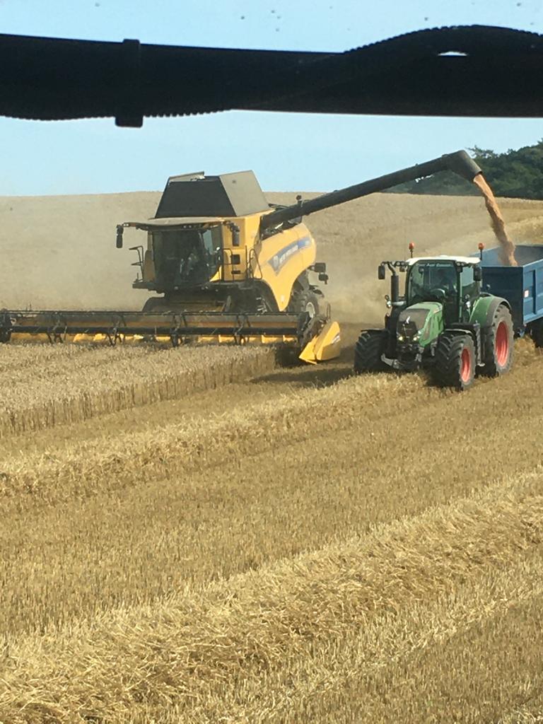 Duncan Wilson tweet media