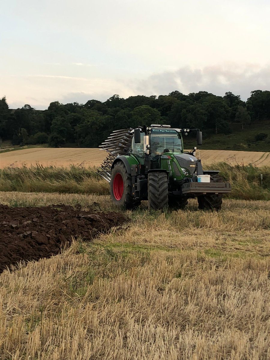 Duncan Wilson tweet media