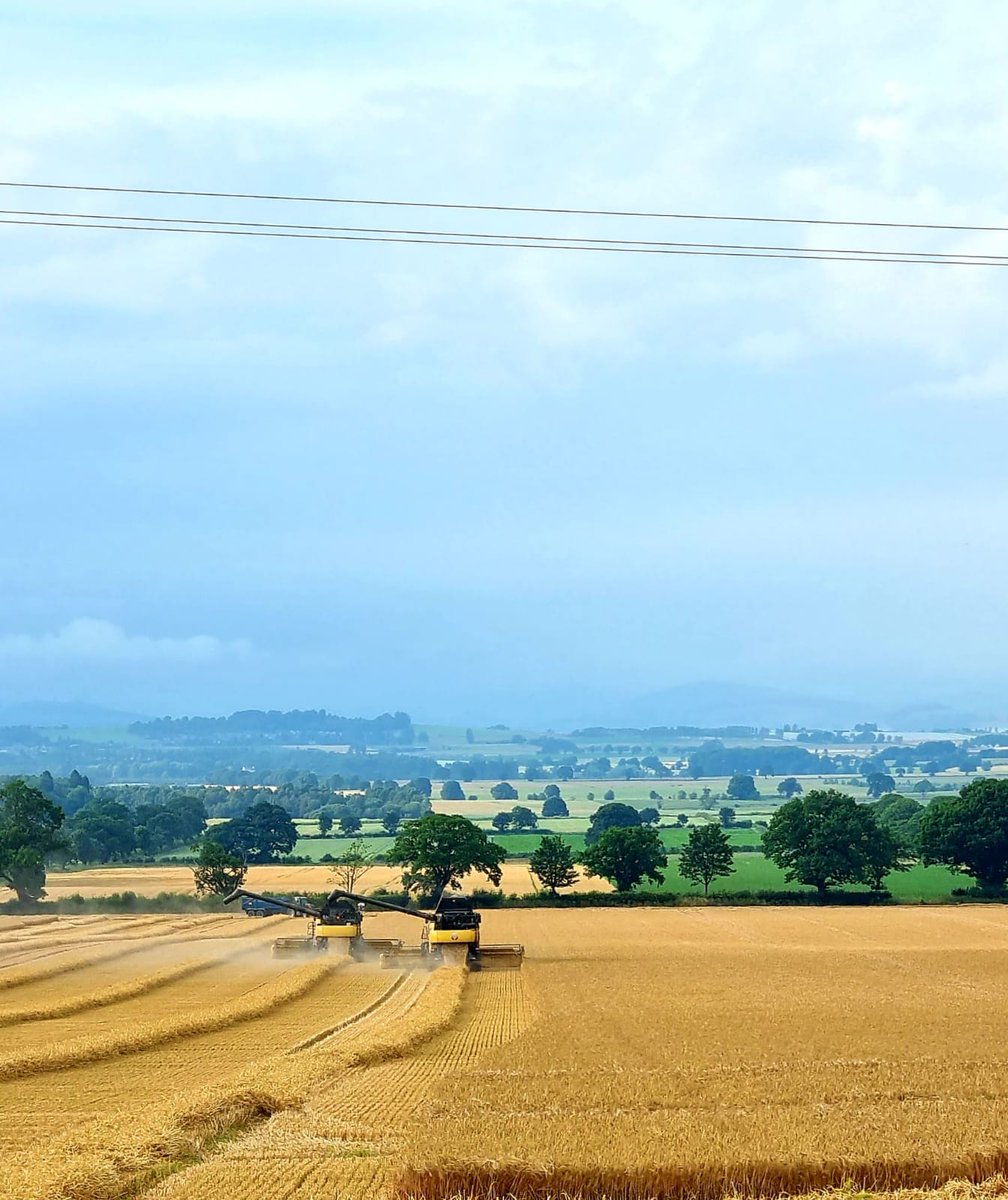 Duncan Wilson tweet media