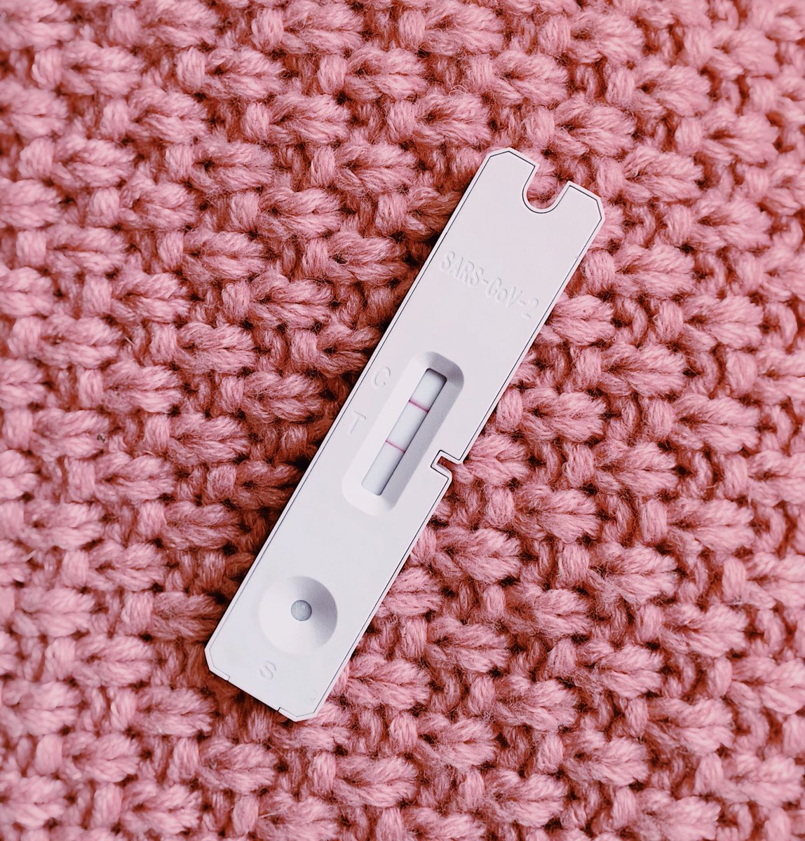 Dognuts | Minting LIVE! ☻ tweet media