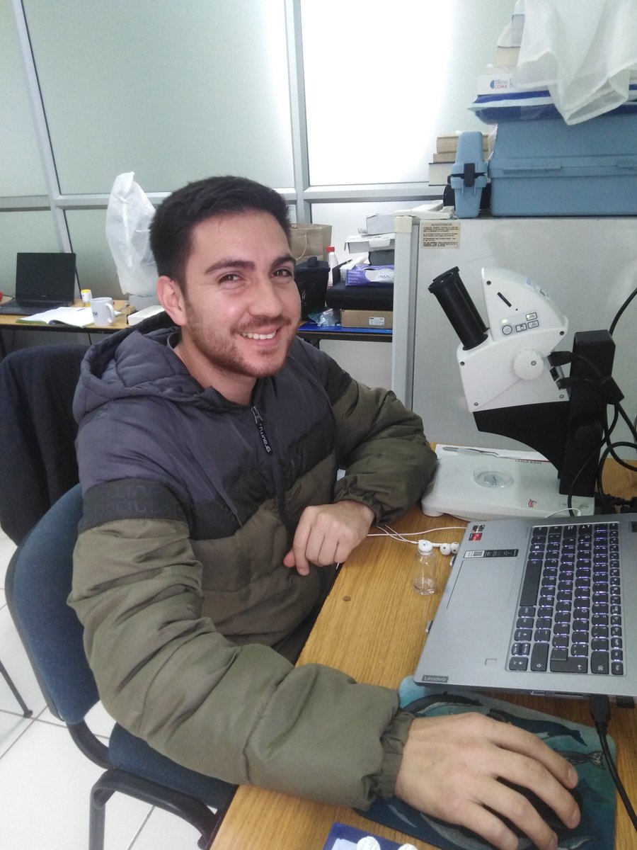 LabitiL's tweet image. El es Luis Guerra, estudiante de Biología Marina UV, y está realizando su Seminario sobre desarrollo morfológico de larvas de Blennioidei de Chile central.