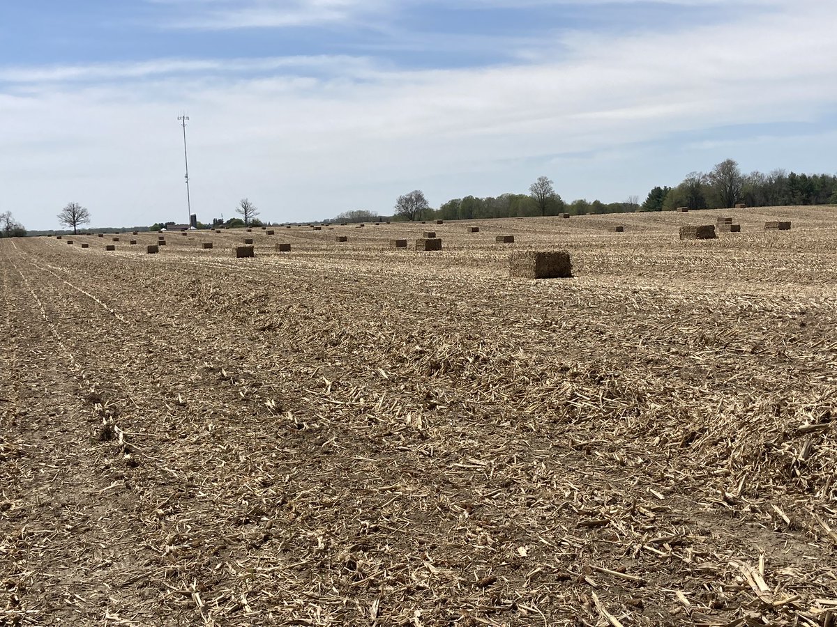 Baling up a few corn stalks today <a href="/GJHarvest/">GJ'S Harvest Centre Inc.</a> <a href="/CLAAS_America/">CLAAS North America</a>