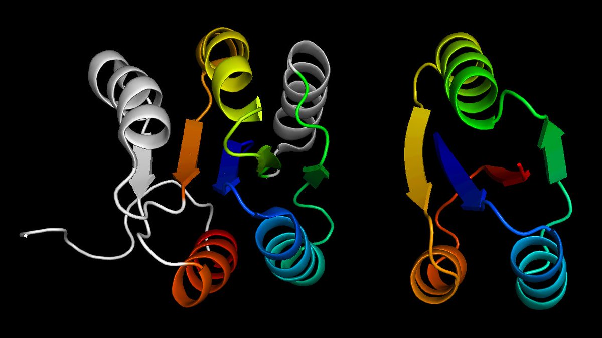 Sergey Ovchinnikov tweet media