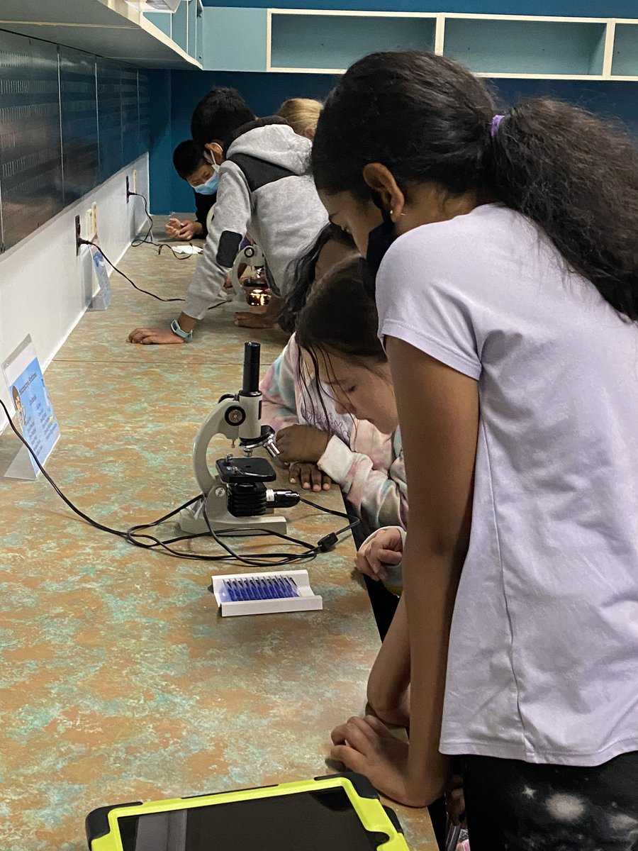 Microscope stations with 5th grade! 🔬Placing slides, finding specimens, using the objectives &amp; focus knobs: “It was hard to use at first, but now I’m really good at it!” ✅ Observing different prepared slides: “That’s not what I thought it would look like!” 🧫👀🤯 <a href="/DDEDolphins/">Davis Drive ES</a>