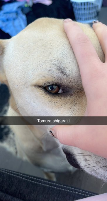 Watch ♡ stassie ♡ (╥_╥)'s leaked NSFW photo on TwXstars