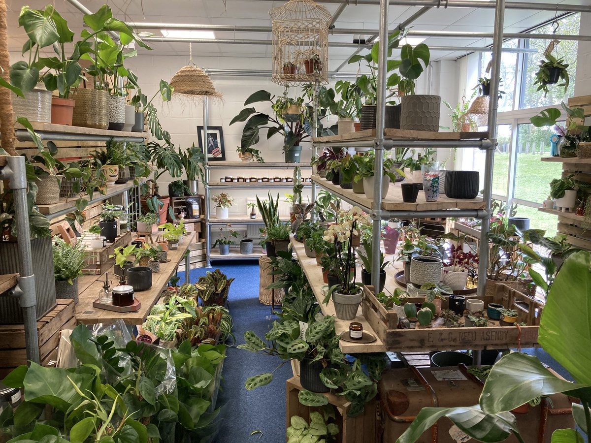 GaryAPhilipson's tweet photo. These guys @WorkshopPlant have a brilliant story! They have a wonderful visit to @The_RHS Chelsea Flower show. Hear their story tomorrow on @BBCTees @BBCSounds https://t.co/FfOE7lXE7s