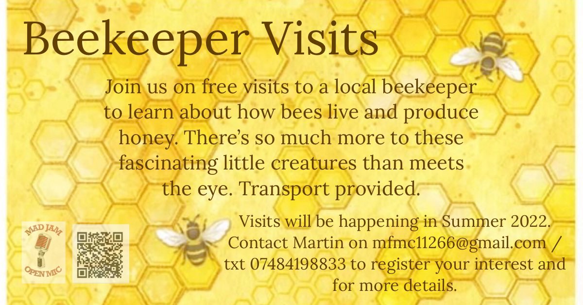 One of our side-projects 🐝🍯#bees #Edinburgh #mentalhealthrecovery