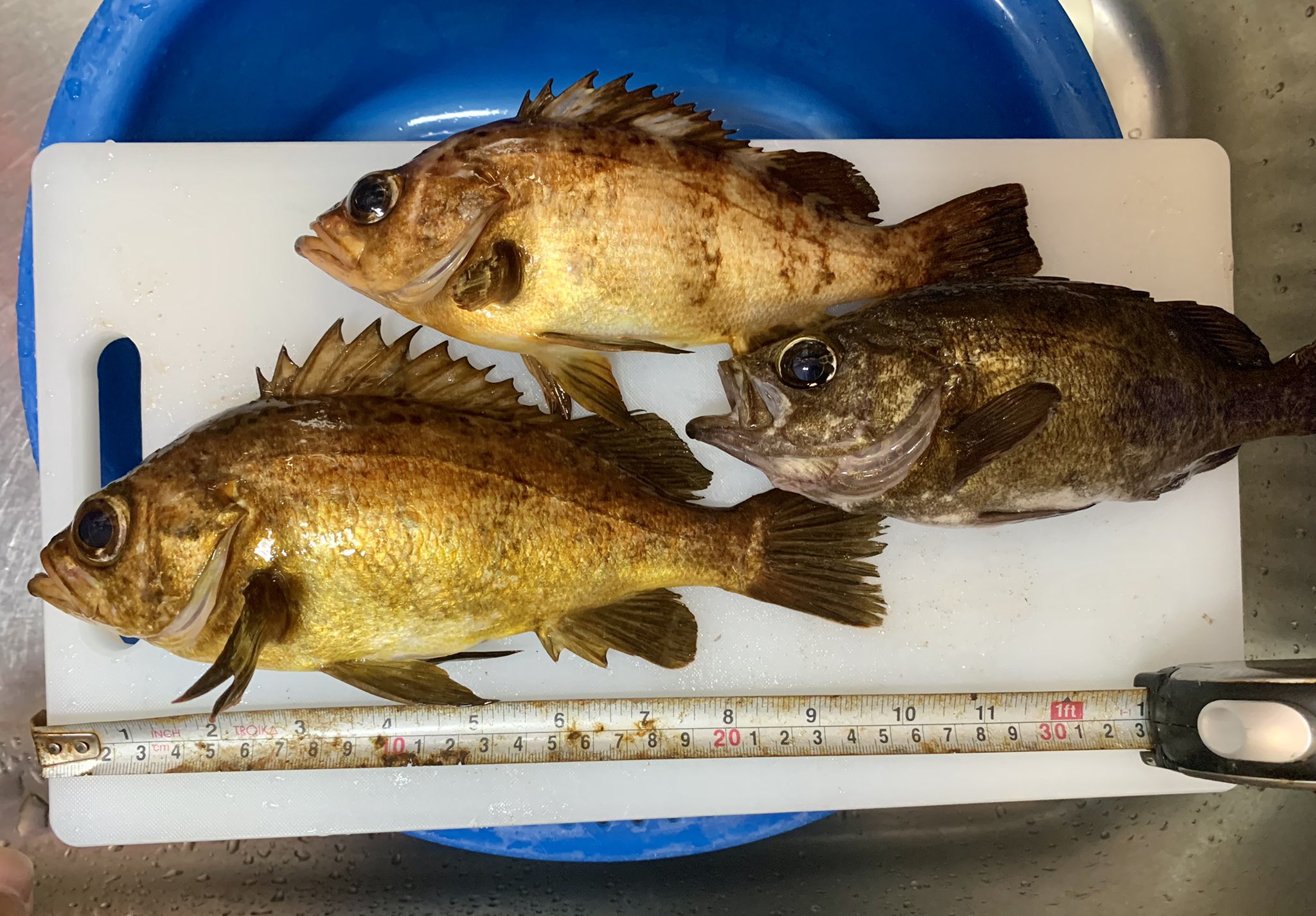 See Madengi S Tweet On May 12 22 Twitter