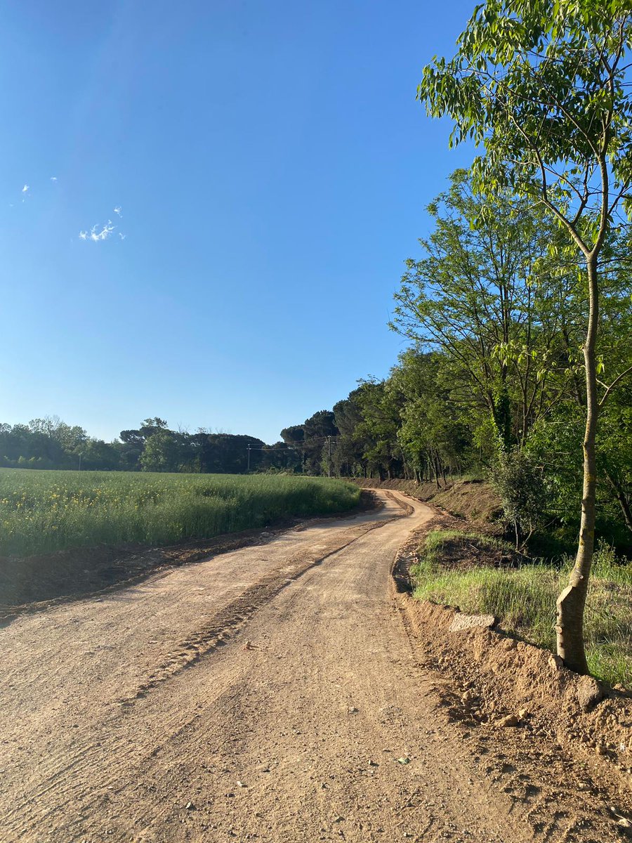 Alameda Torrent SLU tweet media