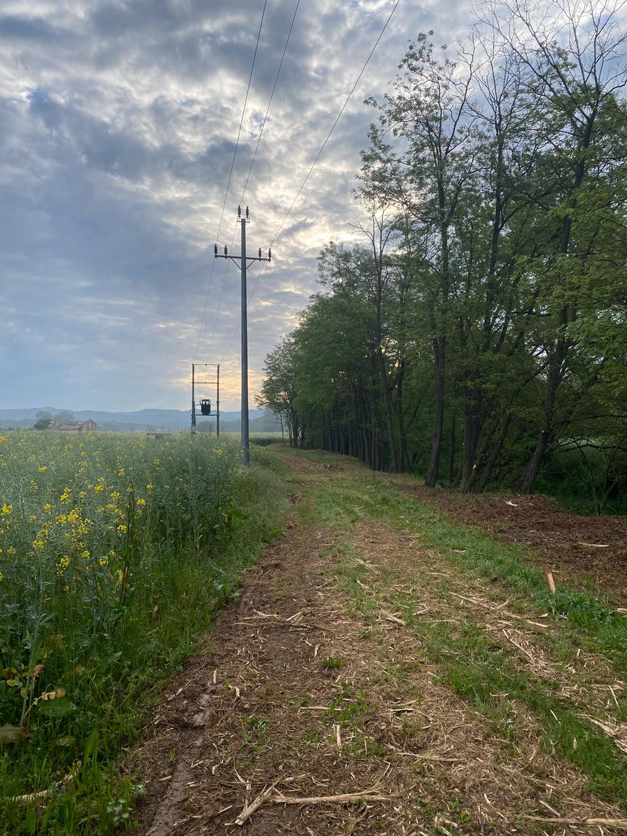 Alameda Torrent SLU tweet media