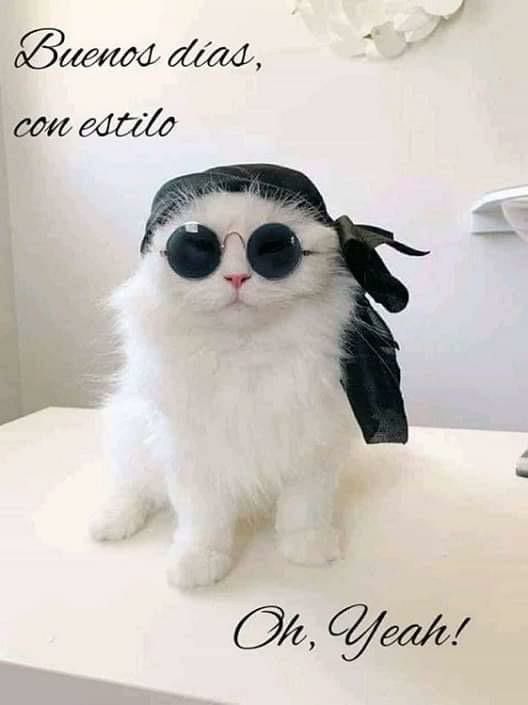 ¡Doña Diabla!🤘🍷🍾🤘 tweet media