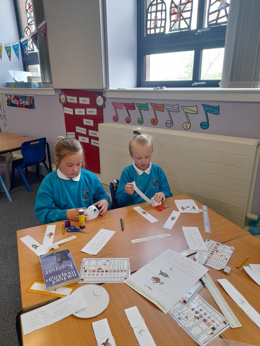 MrsCGreenhill's tweet photo. Investigating food chains with P4/3 and making our own Vertbrate Animal Top Trumps cards for a game next week. https://t.co/vjFF5Z74Bj