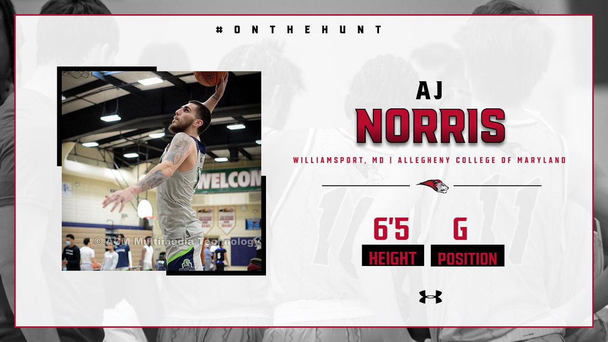 Welcome to the Hunt •

AJ Norris | Guard | Allegheny College of Maryland •

<a href="/ajnorris1/">Aj Norris</a> 

#OnTheHunt #TogetherWeHunt