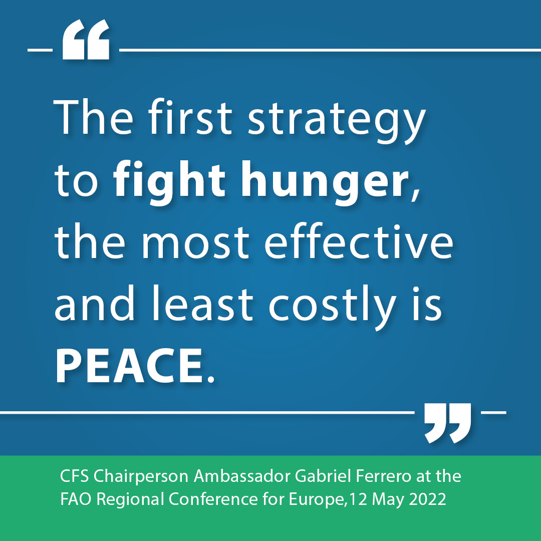 UN_CFS's tweet photo. CFS Chair @GabrielFerrero1 today addressed ministers at the @FAO Regional Conference for Europe #ERC33. He highlighted the adverse effects of the war in Ukraine on global #FoodSecurity & #Nutrition
Recording ➡️https://t.co/AITR73nRsn
Full remarks 👉https://t.co/8WujACjtrW https://t.co/BFxbUQoWS2