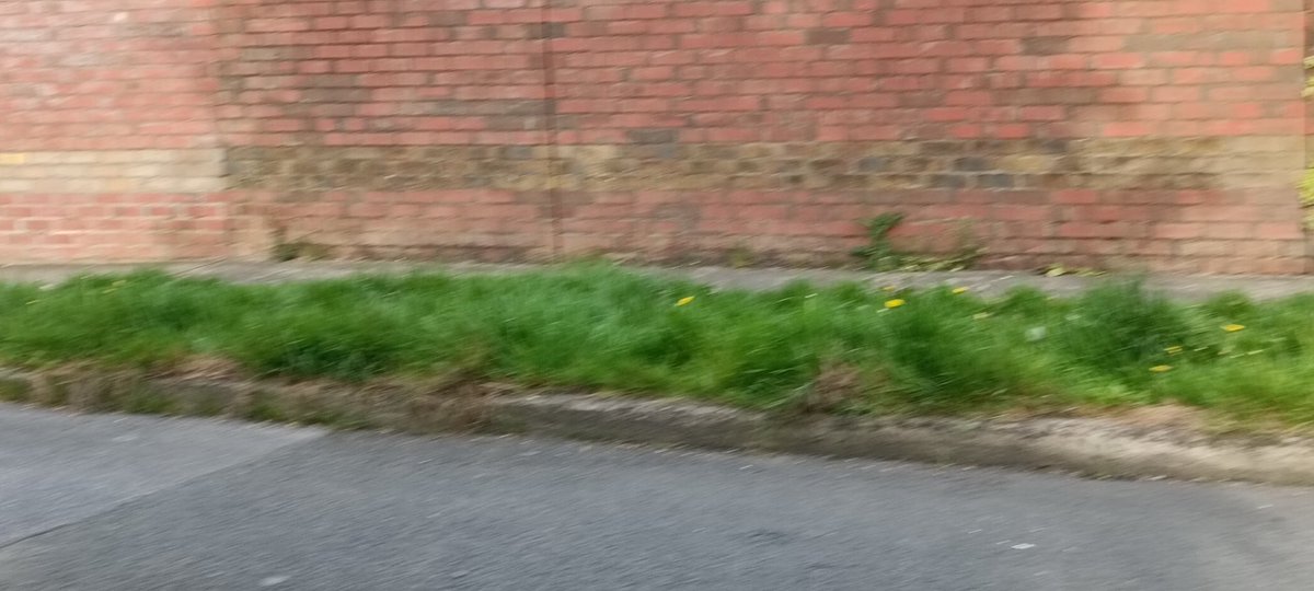 Ckeon's tweet photo. @Fingalcoco can someone please explain why Fingal are refusing to cut the grass verges in Ridgewood and other estates. Grass was cut yesterday in Ridgewood and it was half done. It looks so bad. I have heard of excuses like Covid - lack of resources, pollination all of are untrue https://t.co/zoFLgG3388