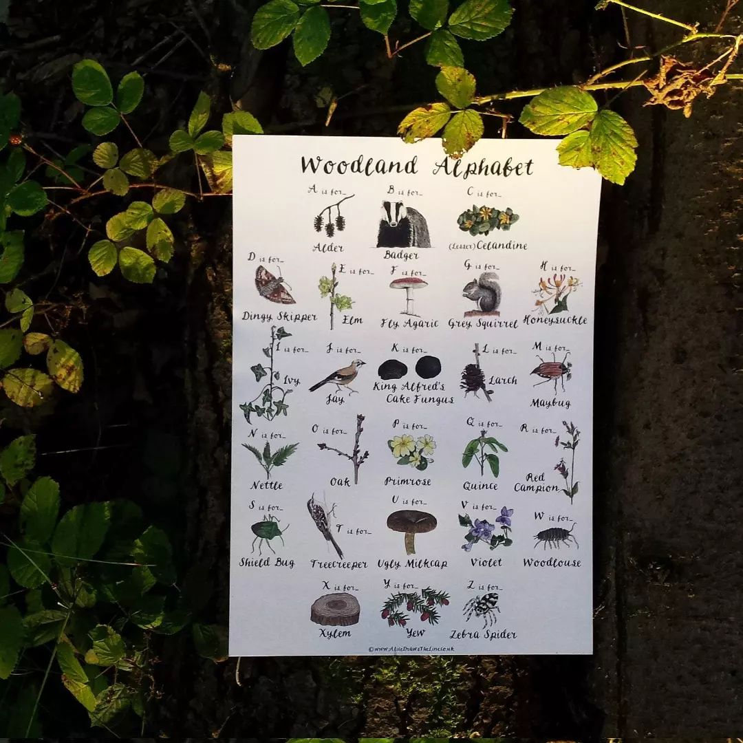 We are delighted that the incredibly talented <a href="/AliceDrawstLine/">Alice Draws The Line</a> will be joining us for the Orchard Launch Celebration taking place on Saturday 21 May. 

Alice creates beautiful nature inspired illustrations, which you will be able to purchase on mugs, tea towels and tote bags.