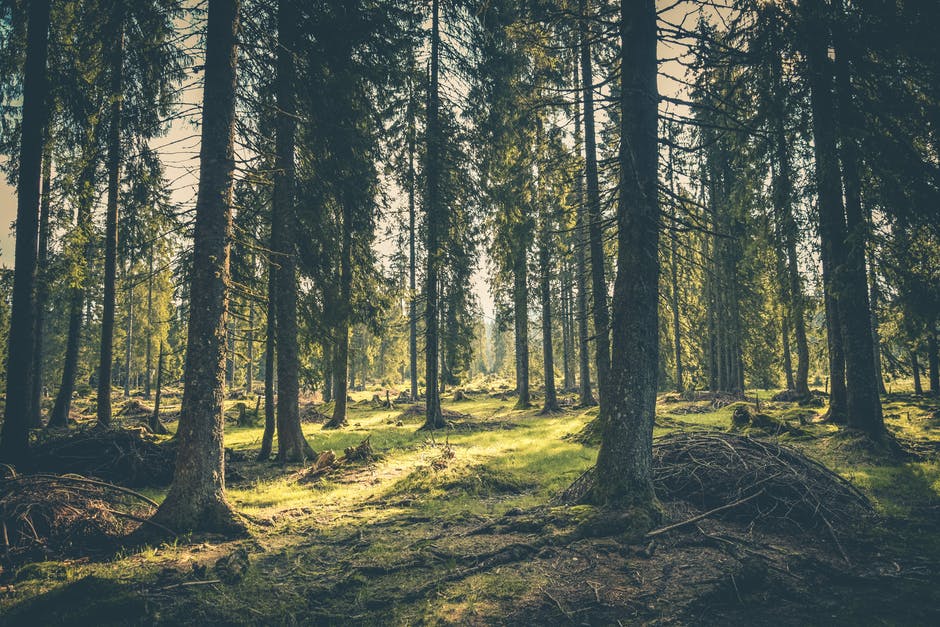 mySemiCab's tweet photo. It may no longer be earth month, but that doesn't mean sustainability shouldn't be top of mind.
https://t.co/8RPByh6XnP
#CollaborativeTransportationPlatform #EmptyMileEliminator https://t.co/8aC5Y4ZuRM