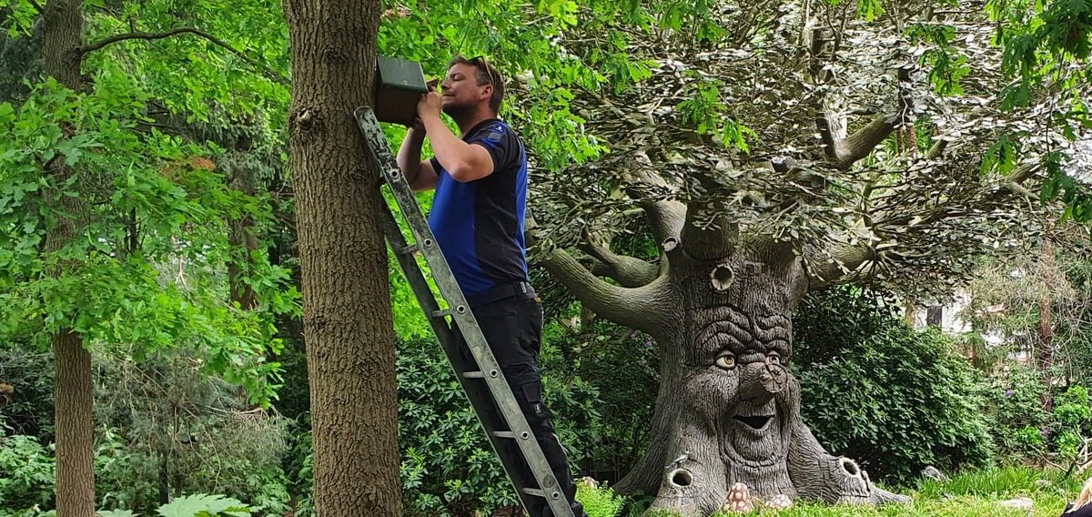 Vandaag was het weer tijd voor de jaarlijkse controle van de nestkasten op het park van de <a href="/Efteling/">Efteling</a> door onze specialisten.

Tegenwoordig hangen er circa 300 nestkasten op diverse locaties op en rondom de Efteling met een gemiddelde bezetting van 70%.