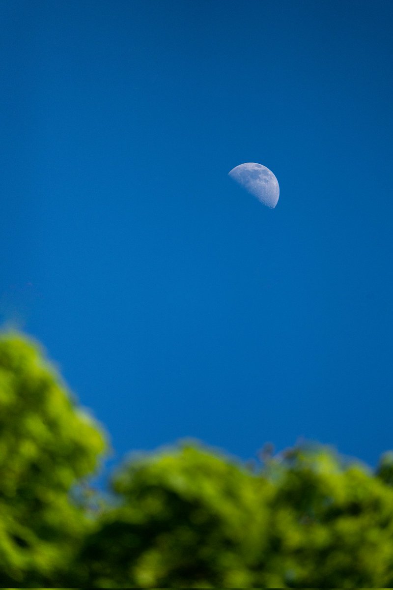 slava_haidei's tweet photo. #moon #moonphotography #photographer #photography #nature https://t.co/r5J77dqb69