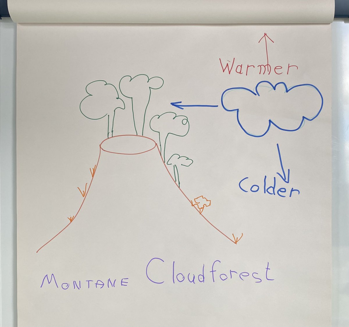 BritishEcolSoc's tweet photo. Some fantastic and inventive infographics being produced in our #PromotingYourResearch workshop at #clim4ecol 👏 https://t.co/h8YfpKCQcr