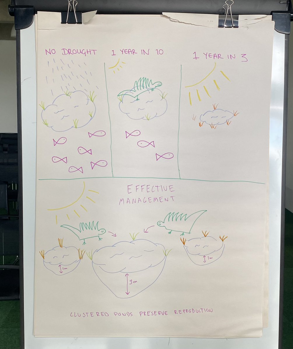 BritishEcolSoc's tweet photo. Some fantastic and inventive infographics being produced in our #PromotingYourResearch workshop at #clim4ecol 👏 https://t.co/h8YfpKCQcr