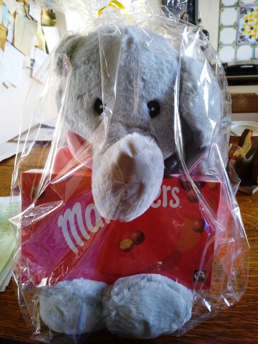 FairDunscore's tweet photo. Just a couple of squares left for the Dunscore School Fairtrade Group @toilettwinning Bingo.  Message if you would like one of the last squares - you could win the elephant and #fairtrade Maltesers! https://t.co/tSJIxYeR5Y