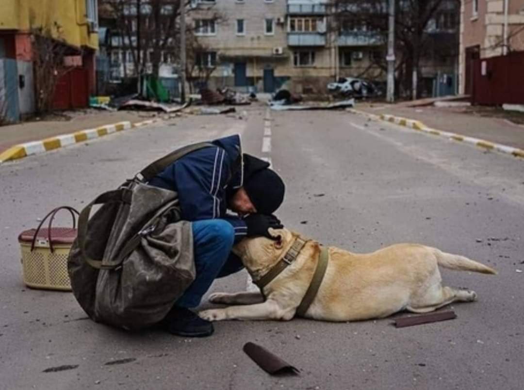 Lord #Mexico tweet media