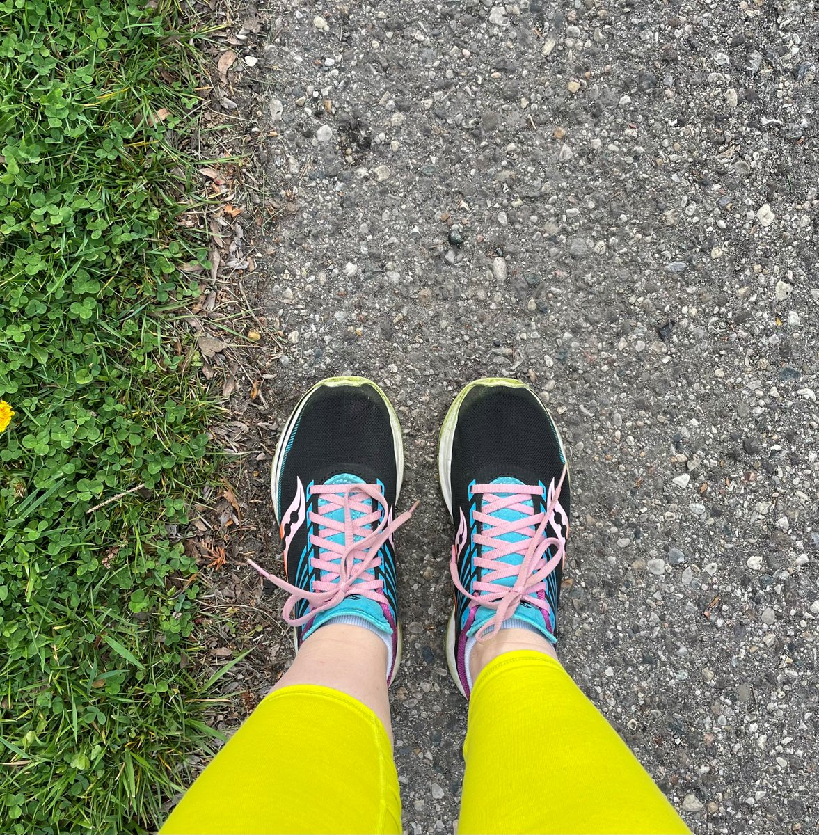 HATWFamilies's tweet photo. It's a beautiful week for getting outdoors-one of our #5Kforfosteryouthparticipants has already done 5K twice! Tag @hatwfamilies or use the hashtag to share your run. It's *still* not too late to sign up or to donate to the foster youth enrichment fund at https://t.co/MqiHggt0UA https://t.co/m0N4LDPoac