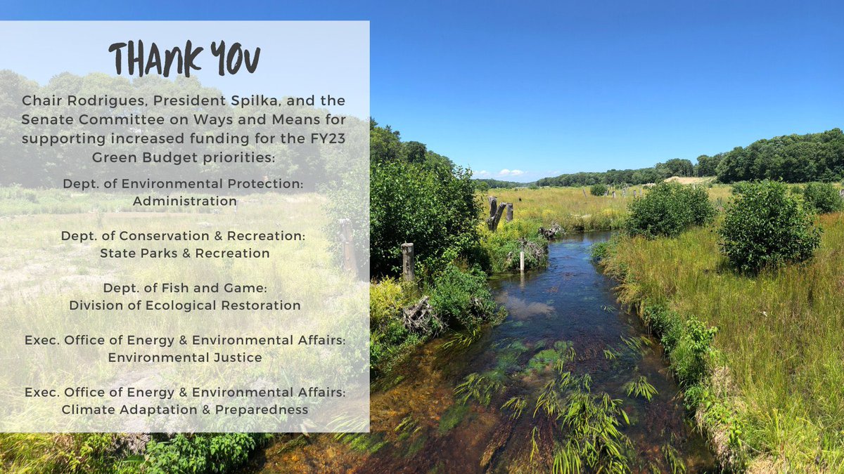 MOSES_MASS tweet media