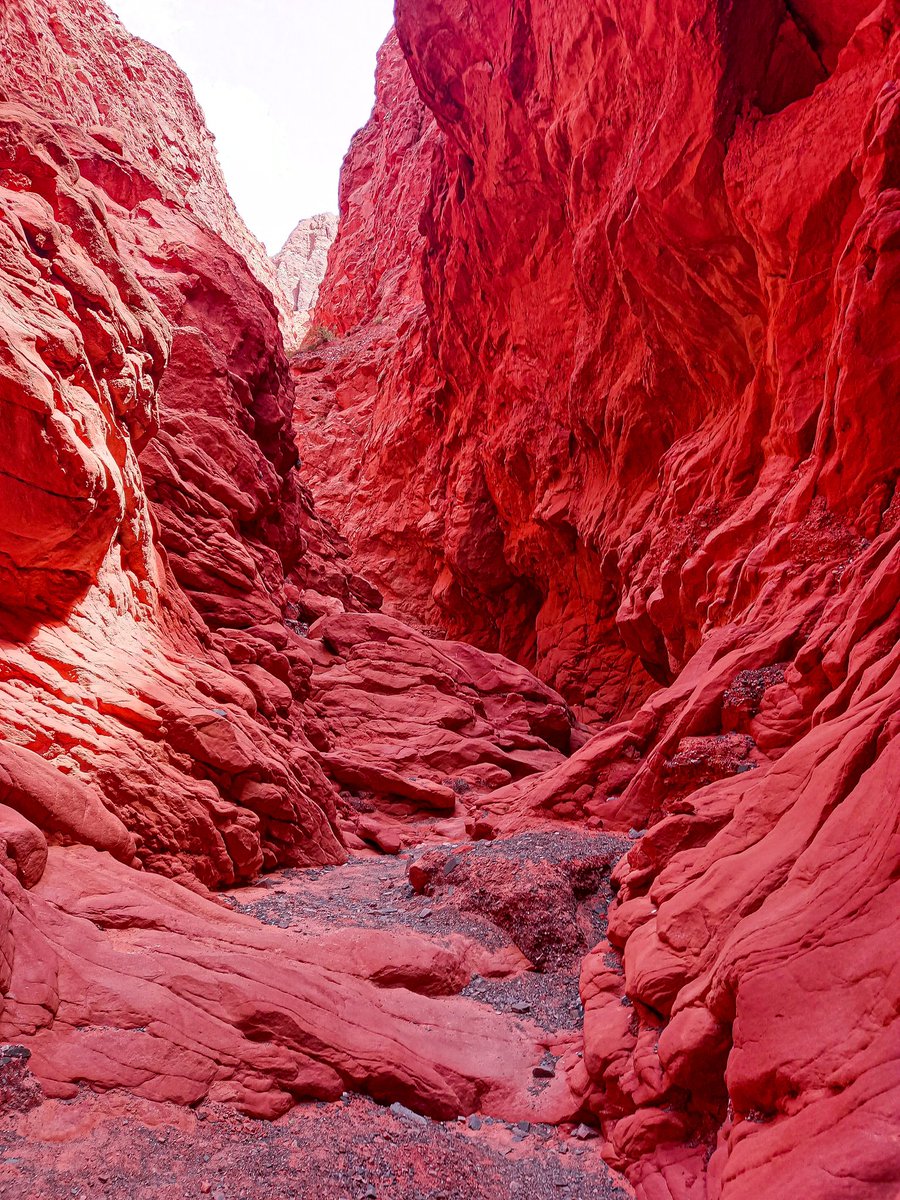Los Colores De Jujuy 🥰😍🌵 Paisajes que Enamoran❤🏜 
Seguinos en 👇
instagram.com/mochilaViajera… y no te pierdas los videos 👇🤭😏
youtube.com/channel/UC0TN8…

#norteargentino #jujuy #paisajes