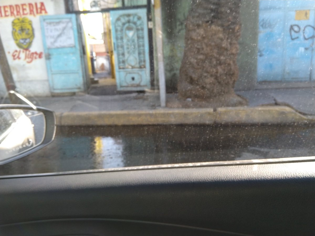 Rosa Miranda tweet media