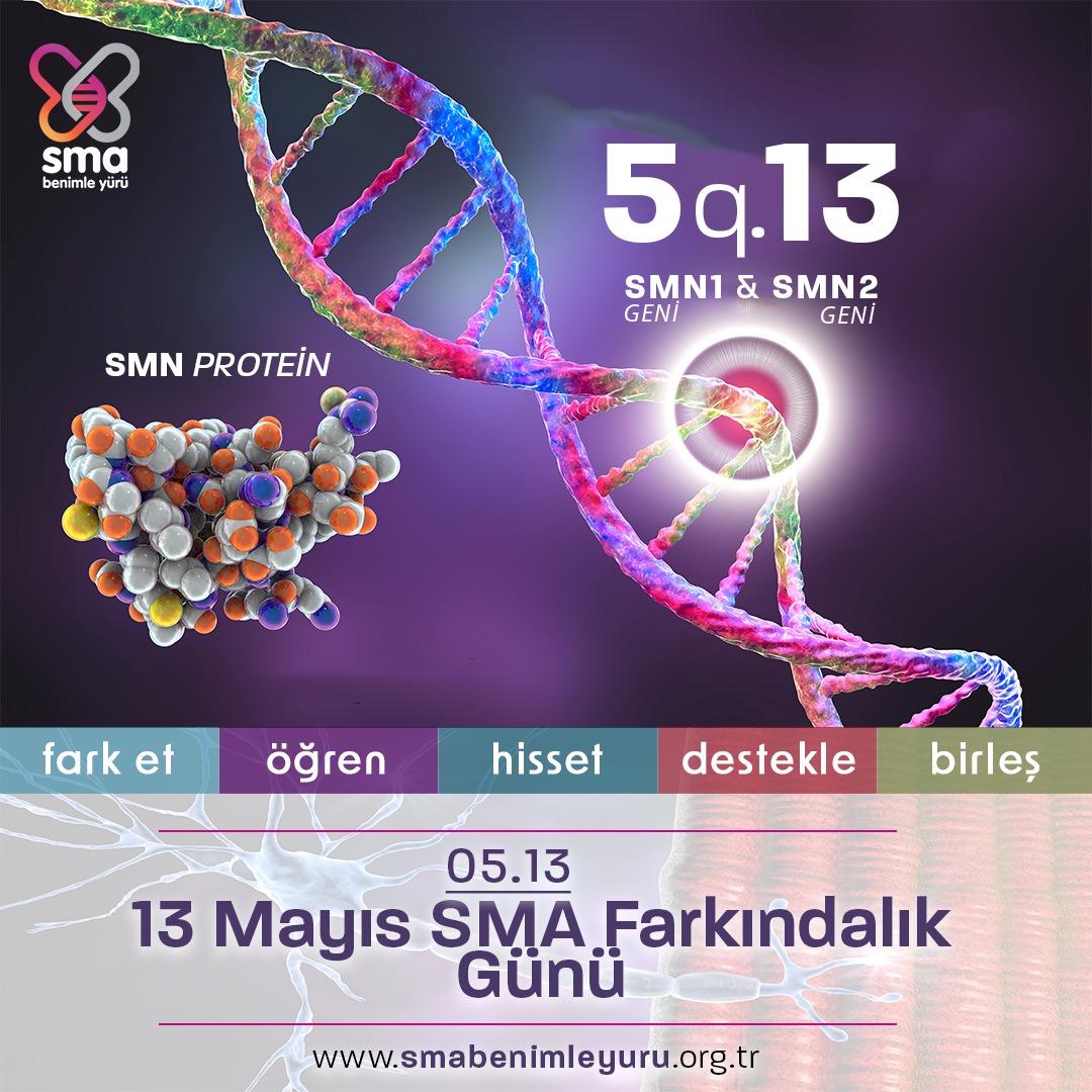 13 MAYIS SMA FARKINDALIK GÜNÜ

#SMA hastalığı denince akla gelen SMN1 ve SMN2 genleri, 5. Kromozomun q kolunun 13. bandında bulunduğundan, yılın 5. ayının 13. gününü #SMAFarkındalıkGünü olarak anıyoruz.

Daha fazla bilgi: smabenimleyuru.org.tr/13-mayis-sma-f…

Paylaş & Farkındalığa Ortak Ol