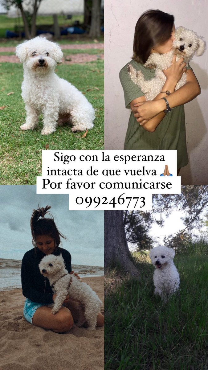 NicolGaleanoF's tweet photo. Sigue sin aparecer, cualquier información se agradece 🙏🏽 https://t.co/ZGhuAqB5l8