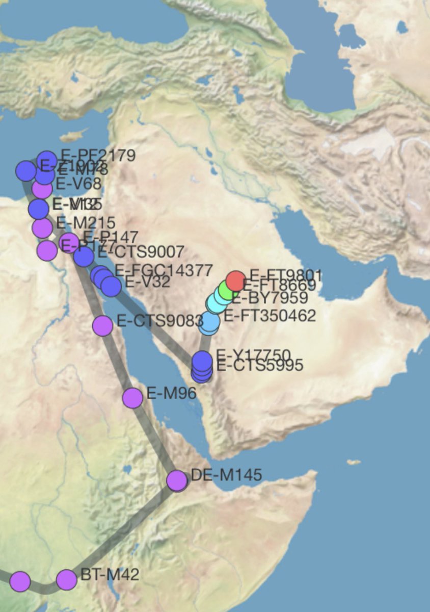 Kasrat_alfai's tweet photo. سلالة #العرب_الاصيلة #M35 سلالة تشرف مورس عليها الكثير من الارهاب الجيني بوصفها بافريقية من رعاع قوم هذه تحوراتي من ١٠٠ سنه الى ٤٥٠٠٠ سنه عربيه قح ، من يعجمها او يصفها بالافريقية فهو سافل ابن سافل وقبيلته سافله من اصل سافل وضيع غجر.
#Y17749 #M215 #M78 https://t.co/fGmqcq8BaU
